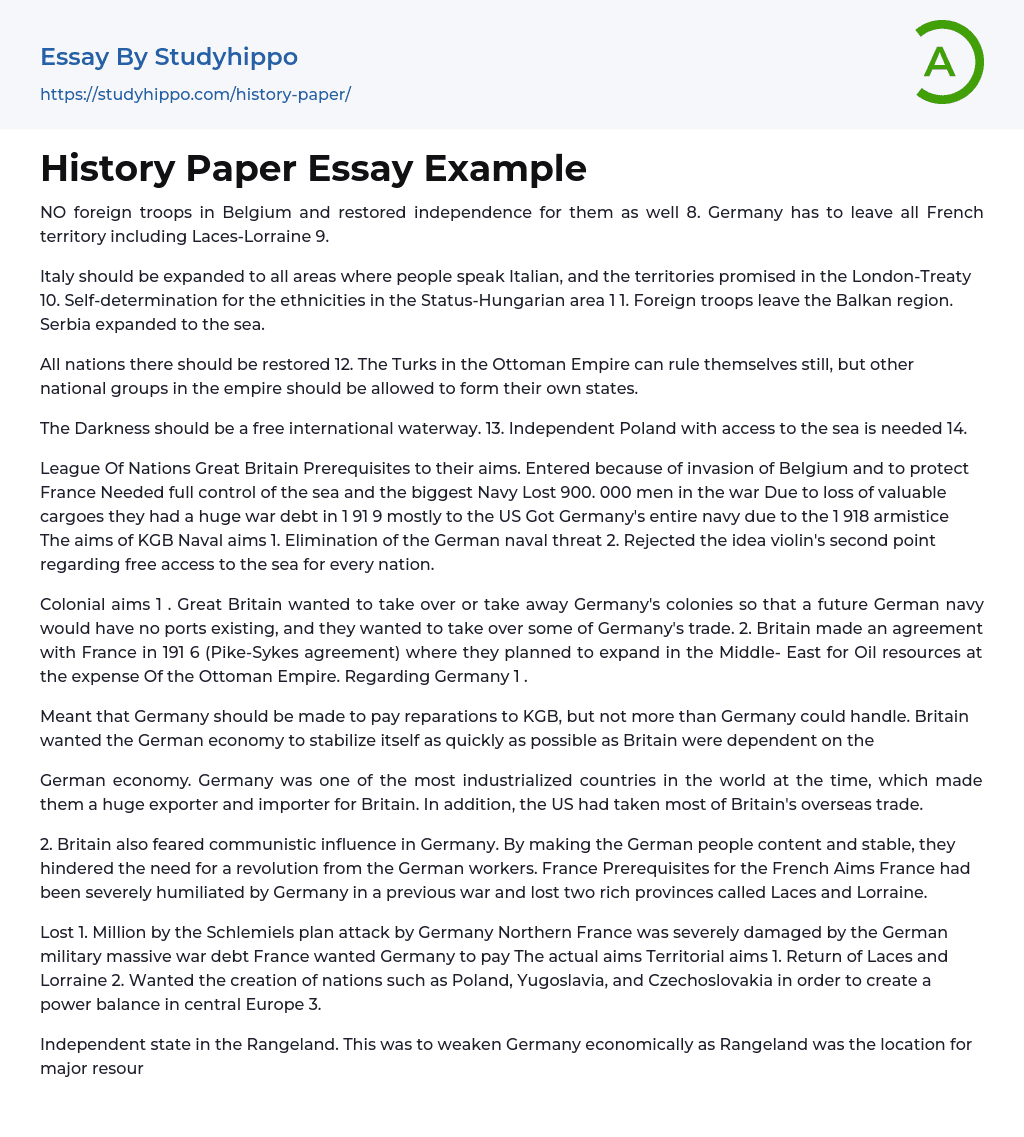History Paper Essay Example