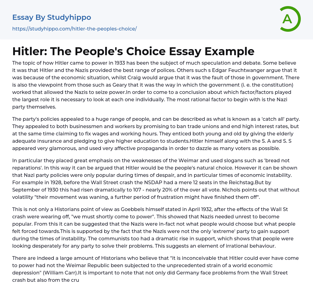 Hitler: The People’s Choice Essay Example