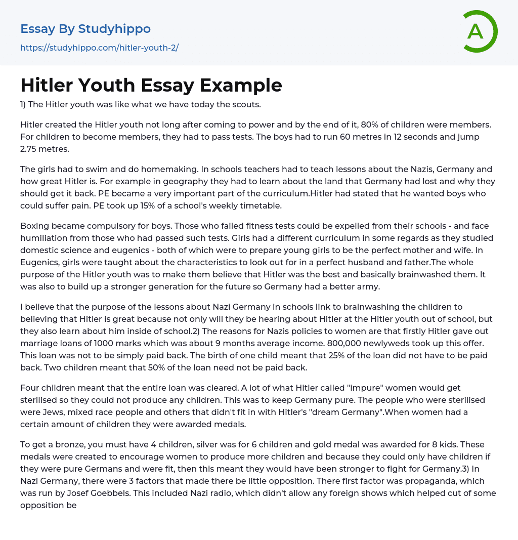 Hitler Youth Essay Example
