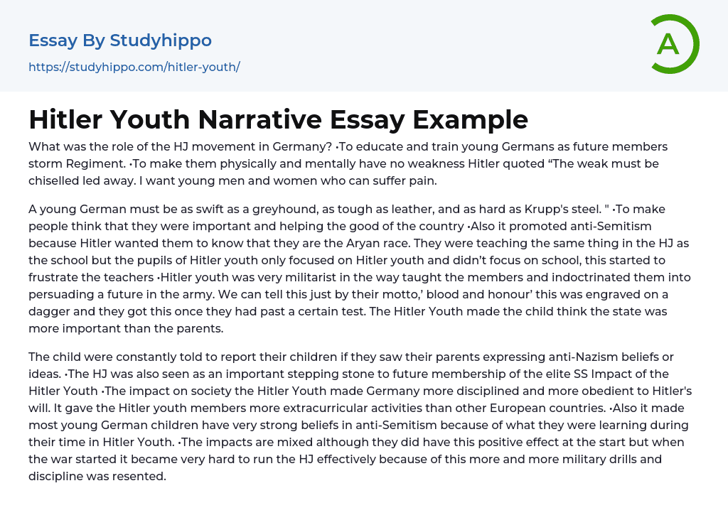 Hitler Youth Narrative Essay Example