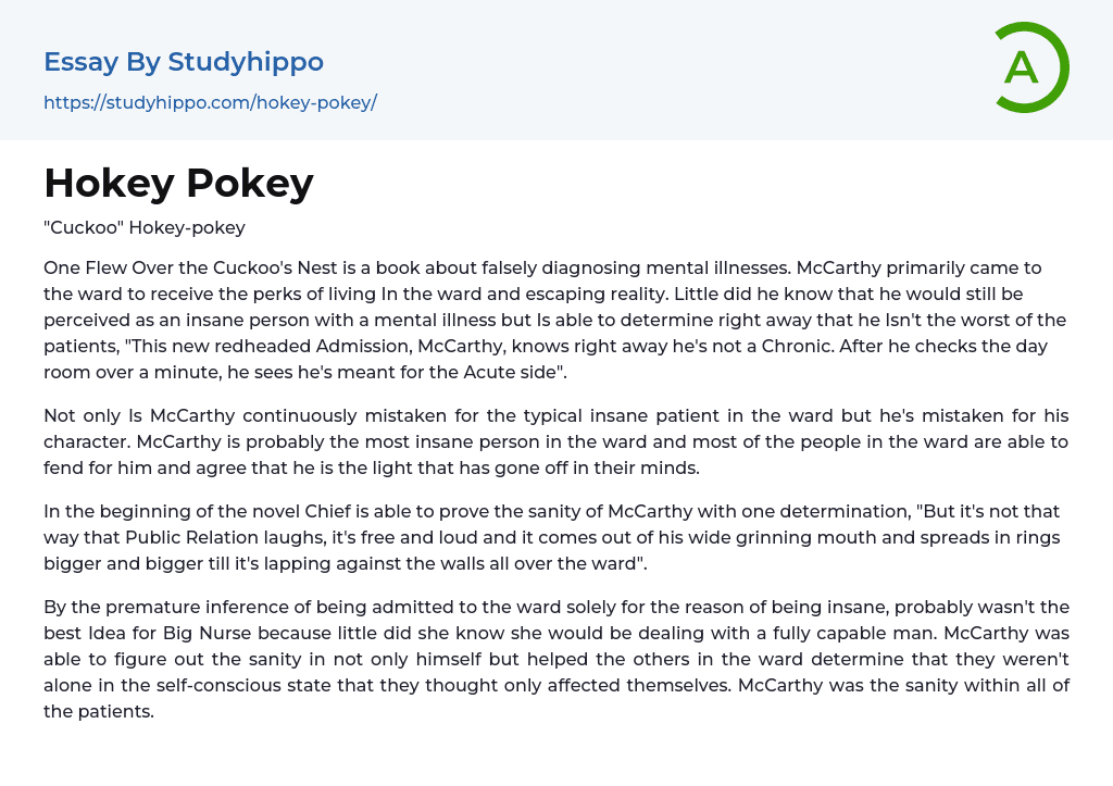 Hokey Pokey Essay Example