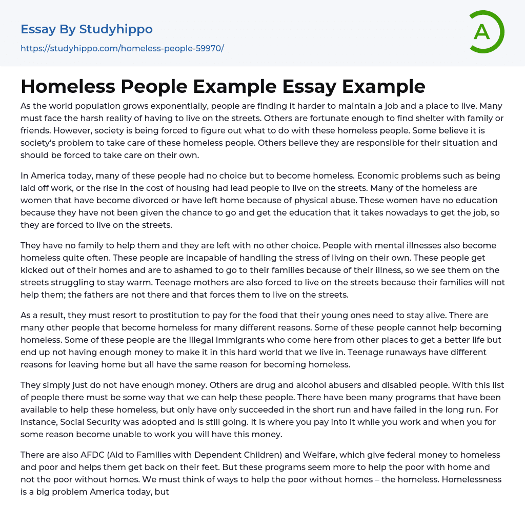 Homeless People Example Essay Example