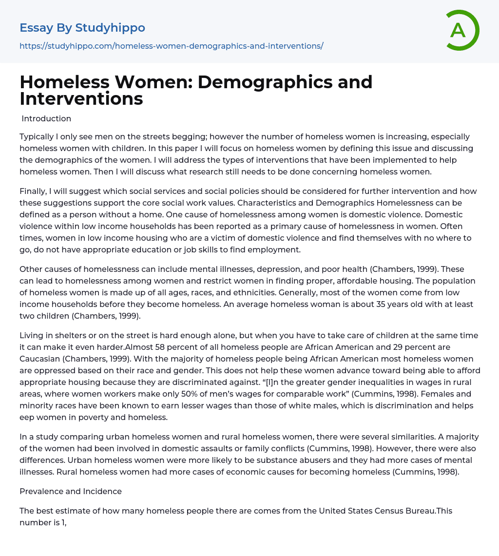 Homeless Women: Demographics and Interventions Essay Example