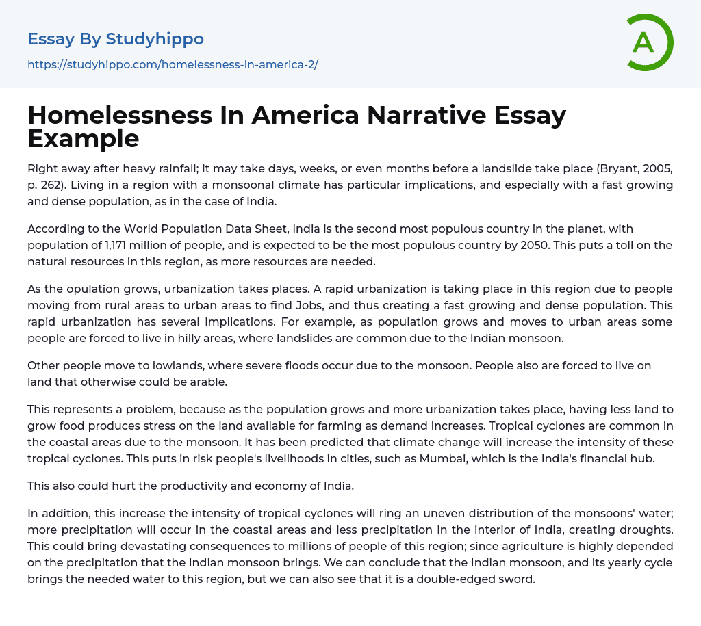 Homelessness In America Narrative Essay Example