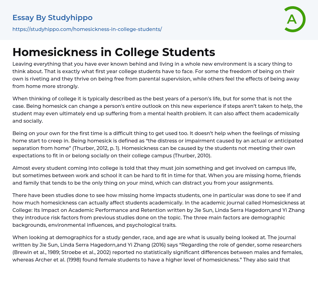 Homesickness in College Students Essay Example
