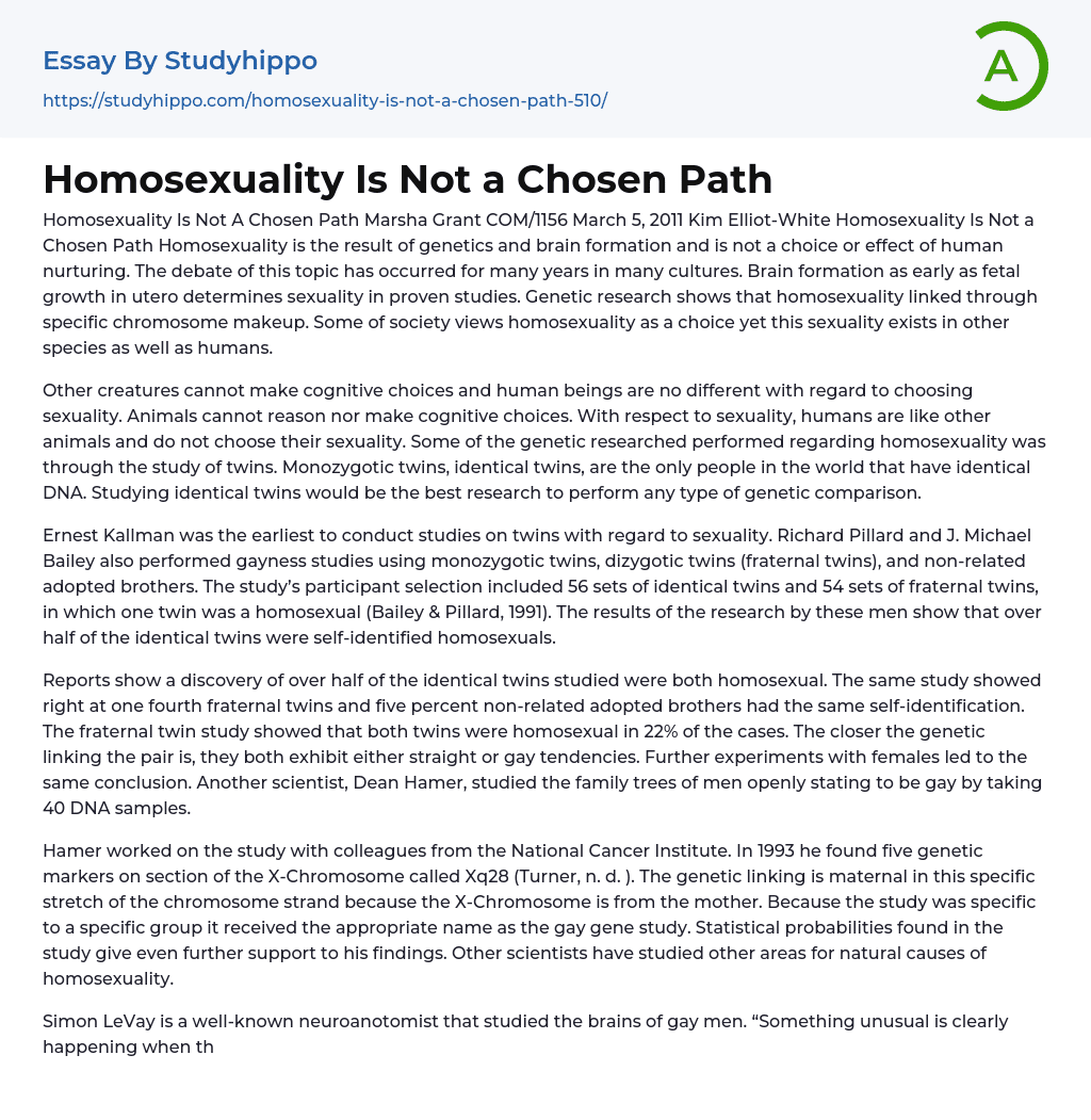 Homosexuality Is Not a Chosen Path Essay Example
