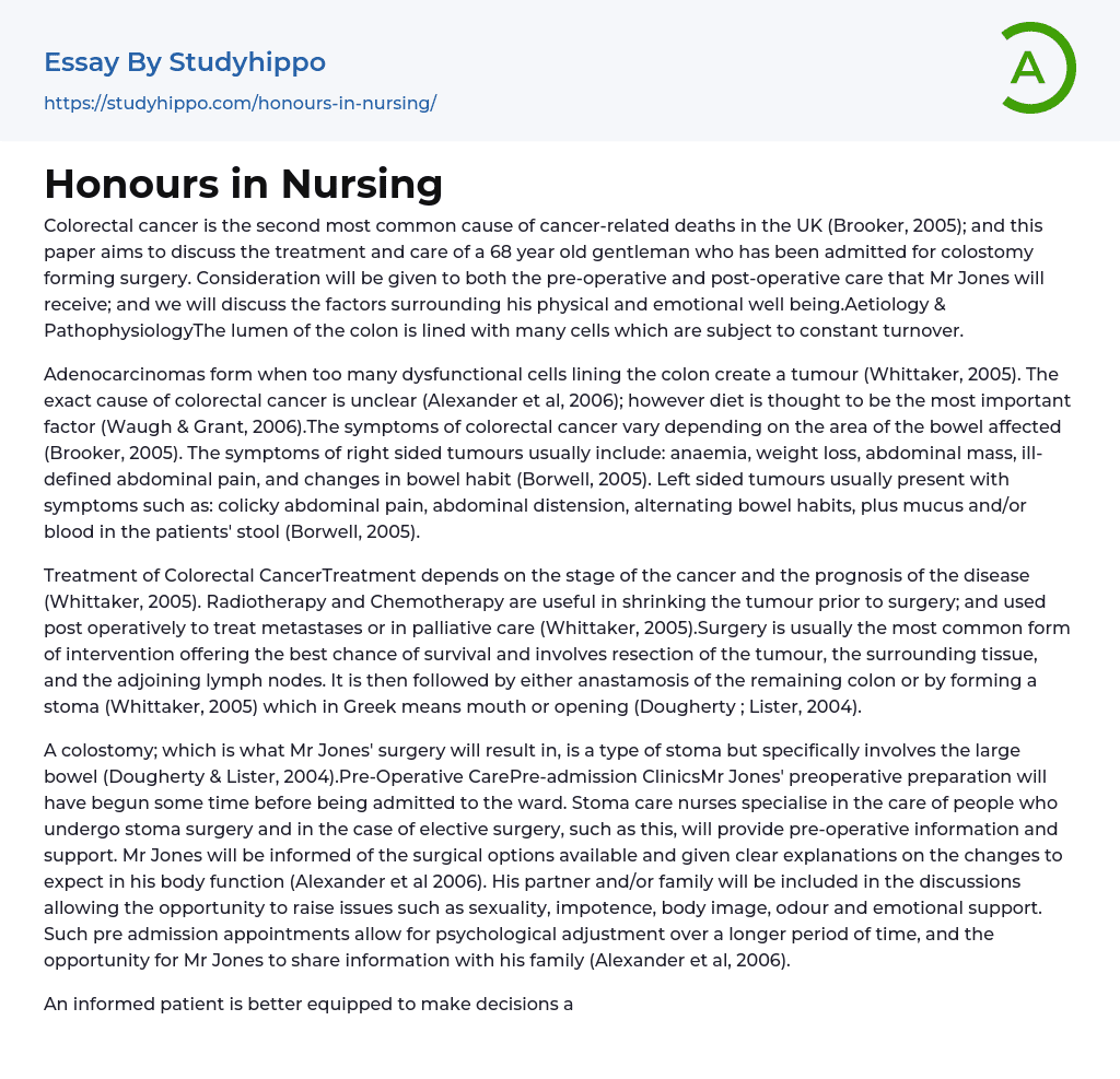 Honours in Nursing Essay Example