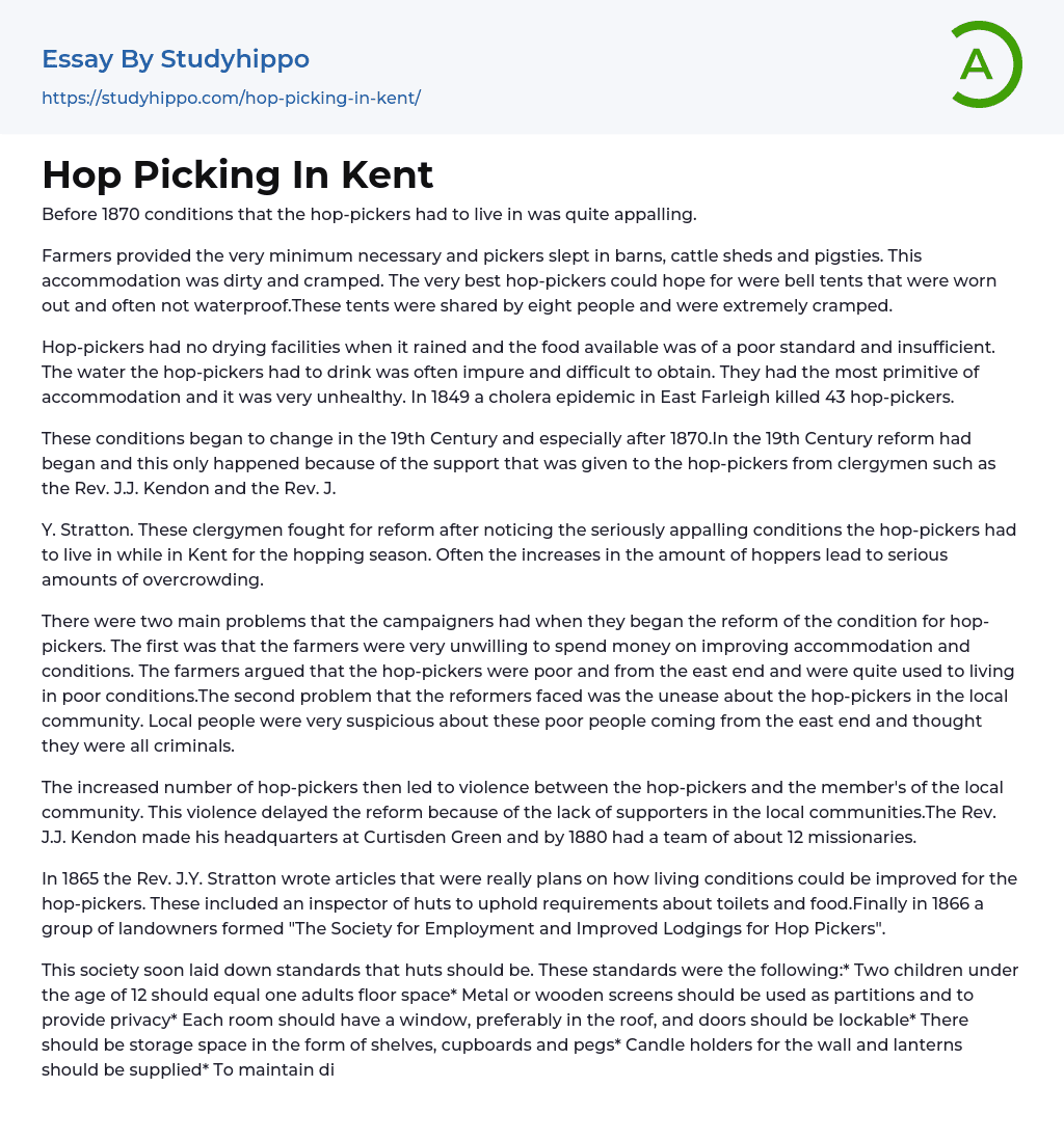 Hop Picking In Kent Essay Example