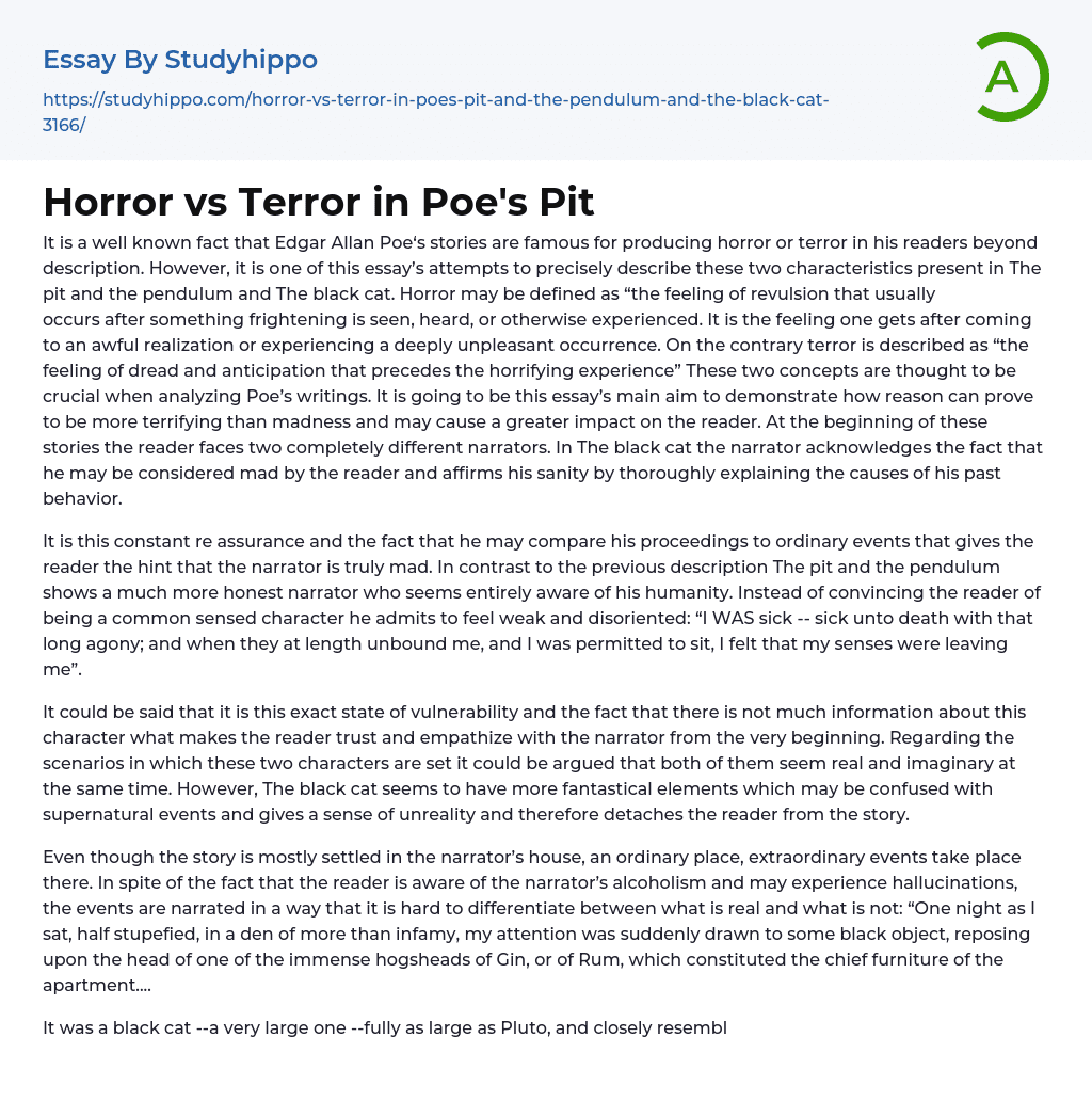 Horror vs Terror in Poe’s Pit Essay Example