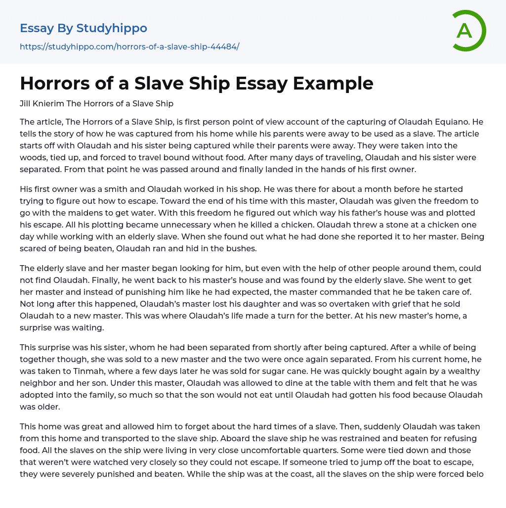 Horrors of a Slave Ship Essay Example