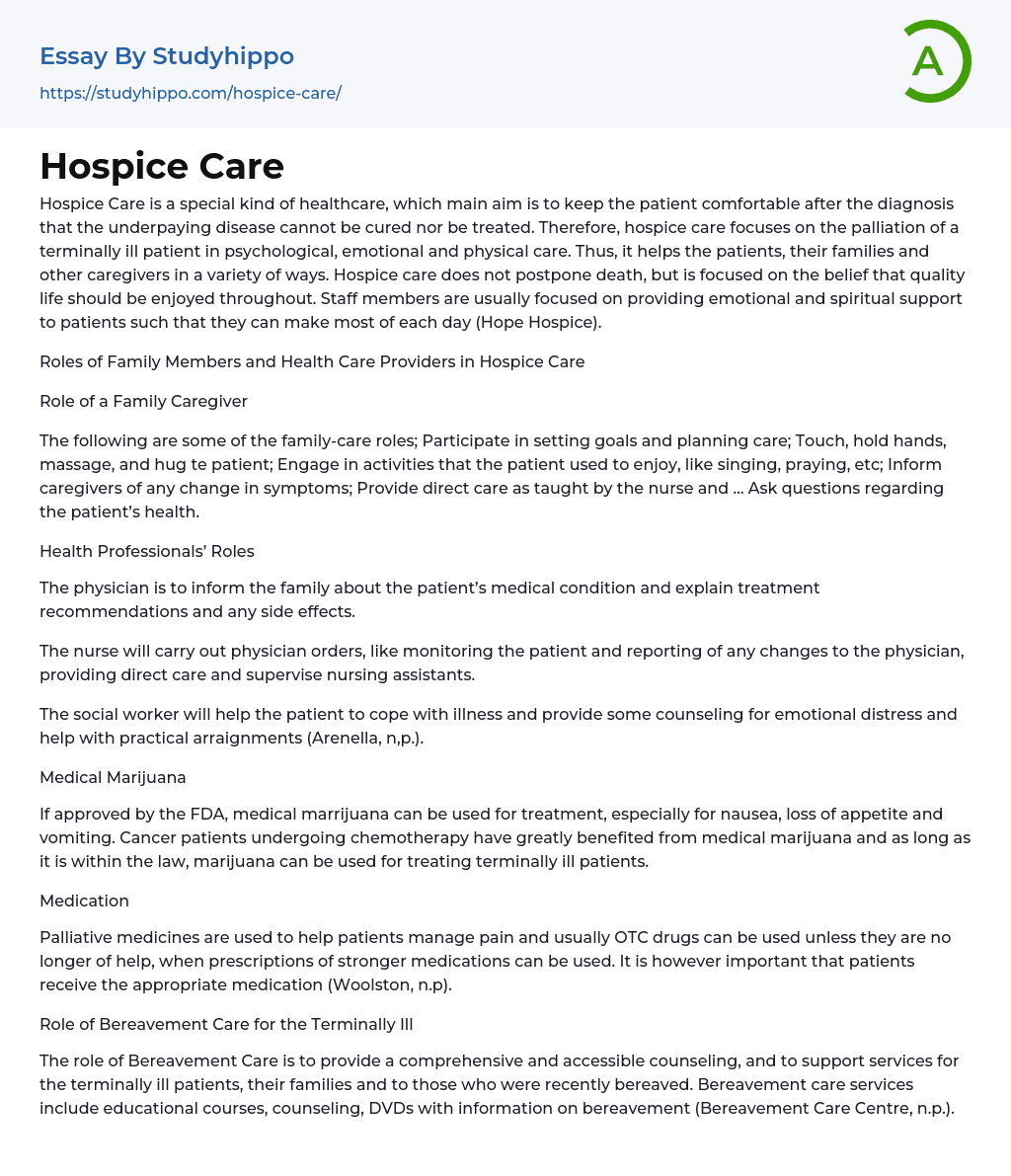 Hospice Care Essay Example