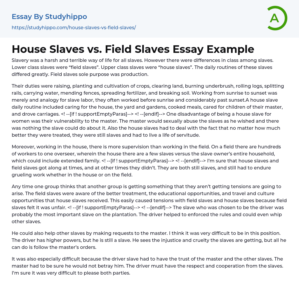 House Slaves vs. Field Slaves Essay Example