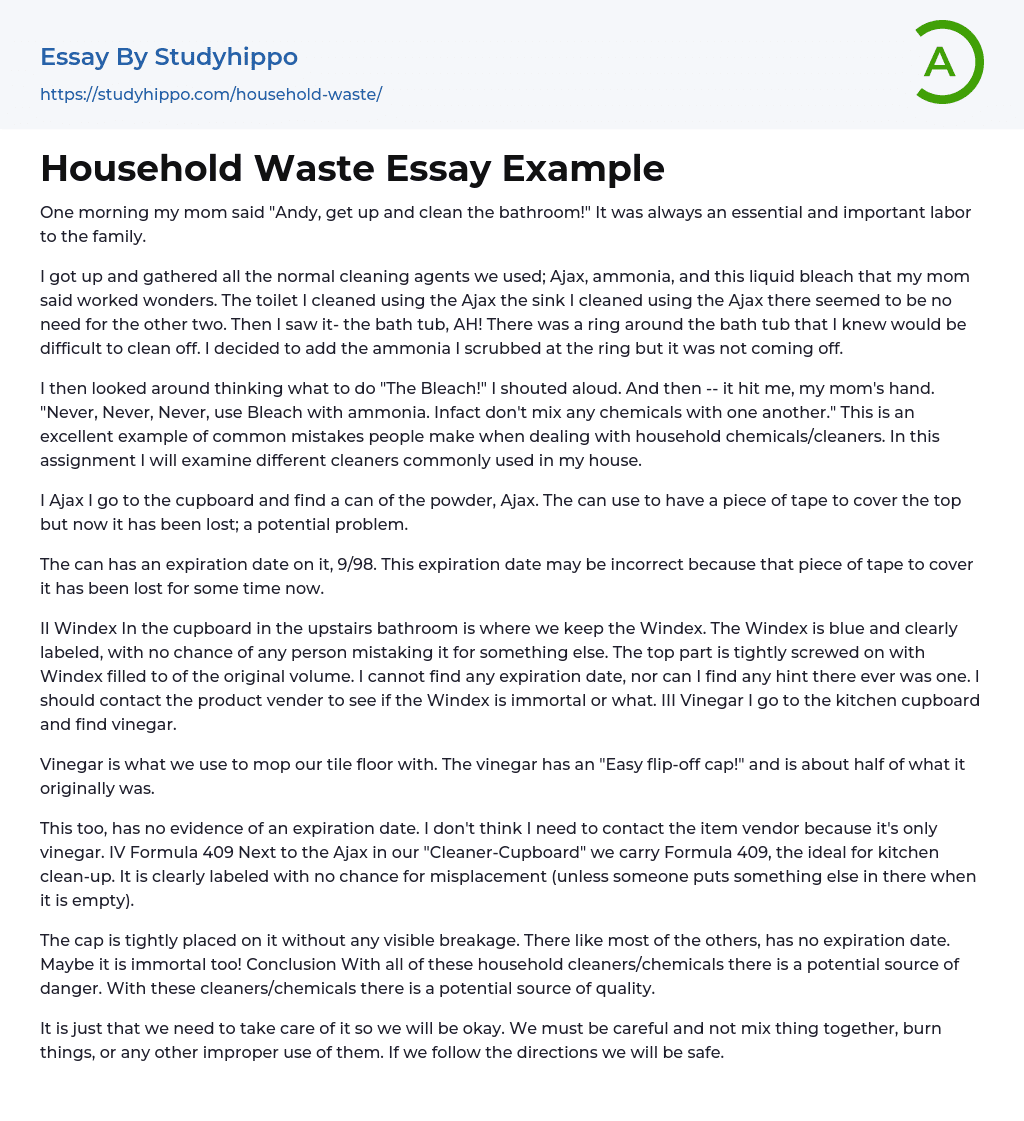 Household Waste Essay Example