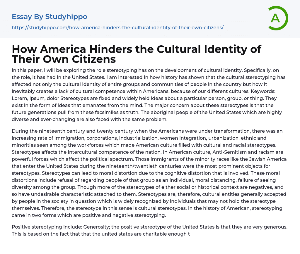 How America Hinders the Cultural Identity of Their Own Citizens Essay Example