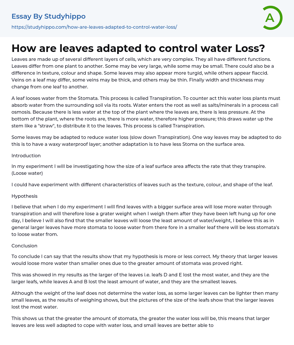 How are leaves adapted to control water Loss? Essay Example