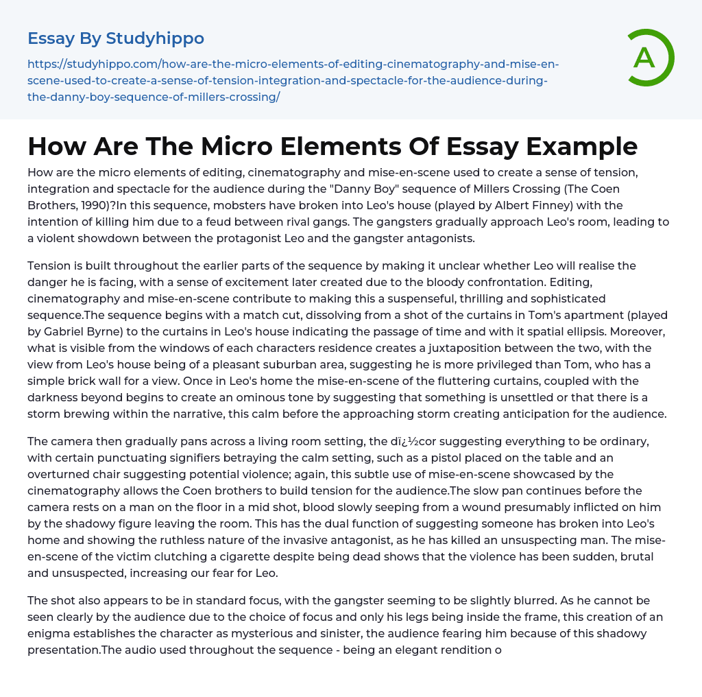 How Are The Micro Elements Of Essay Example