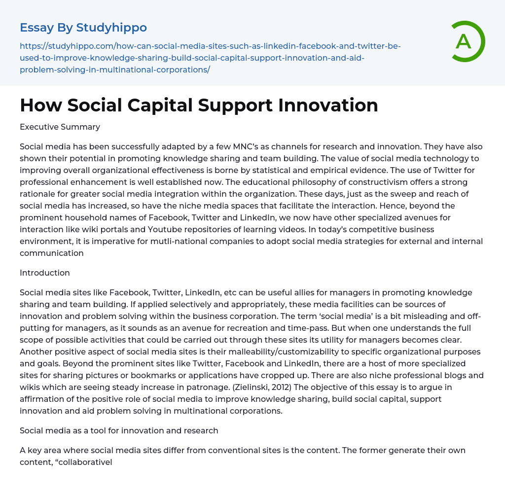 How Social Capital Support Innovation Essay Example