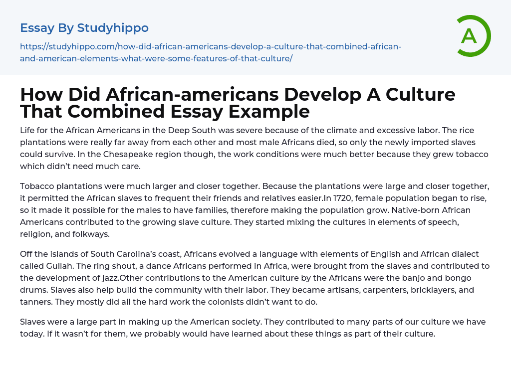 How Did African-americans Develop A Culture That Combined Essay Example