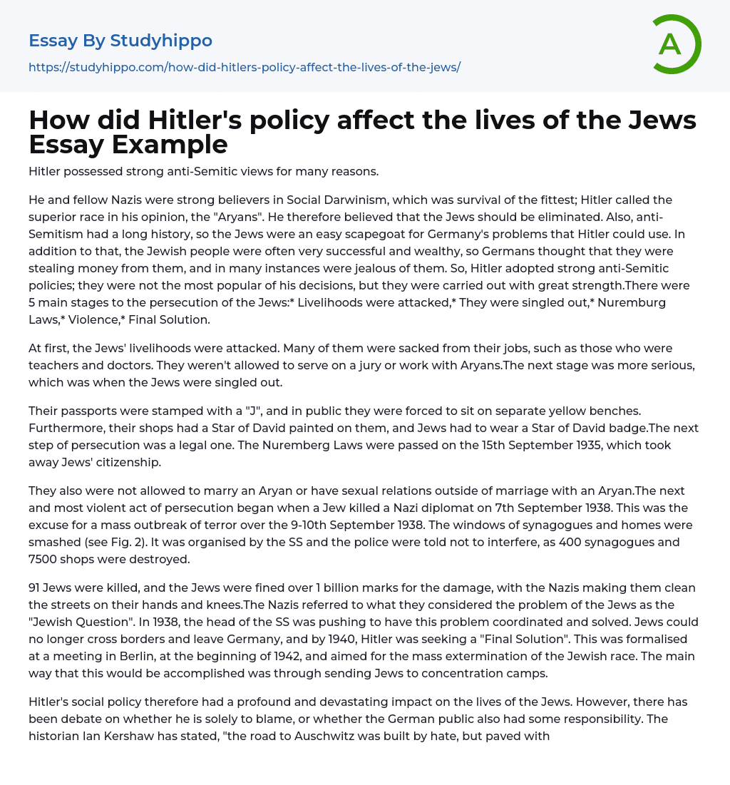 How did Hitler’s policy affect the lives of the Jews Essay Example