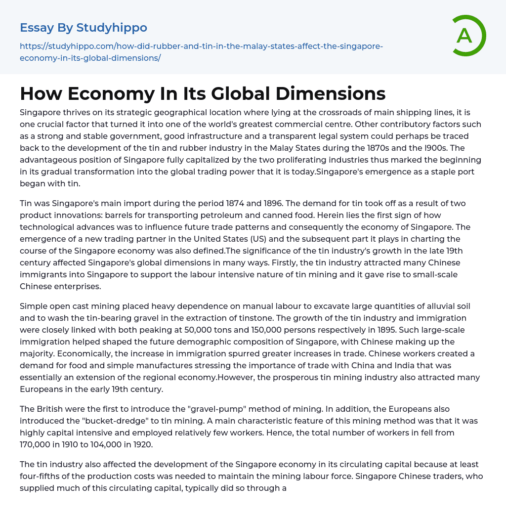 How Economy In Its Global Dimensions Essay Example