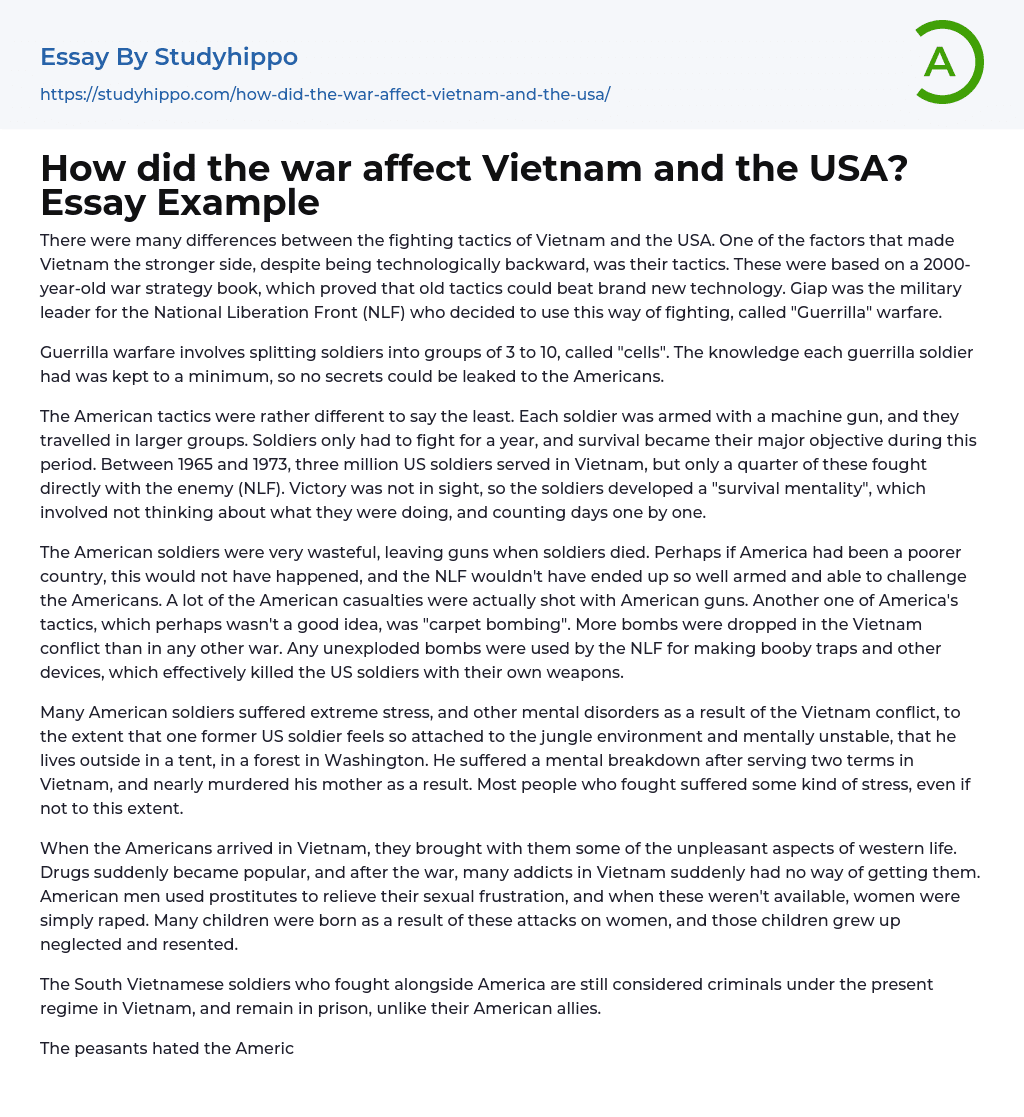 How did the war affect Vietnam and the USA? Essay Example
