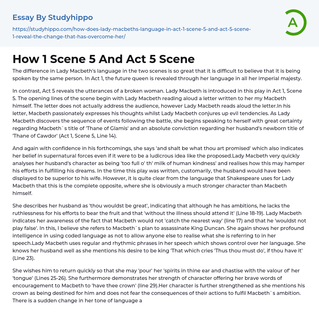 How 1 Scene 5 And Act 5 Scene Essay Example