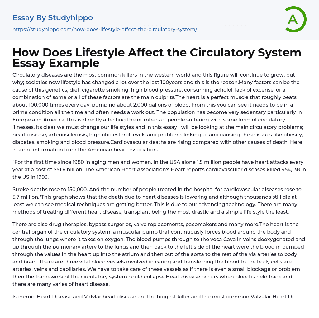 how-does-lifestyle-affect-the-circulatory-system-essay-example