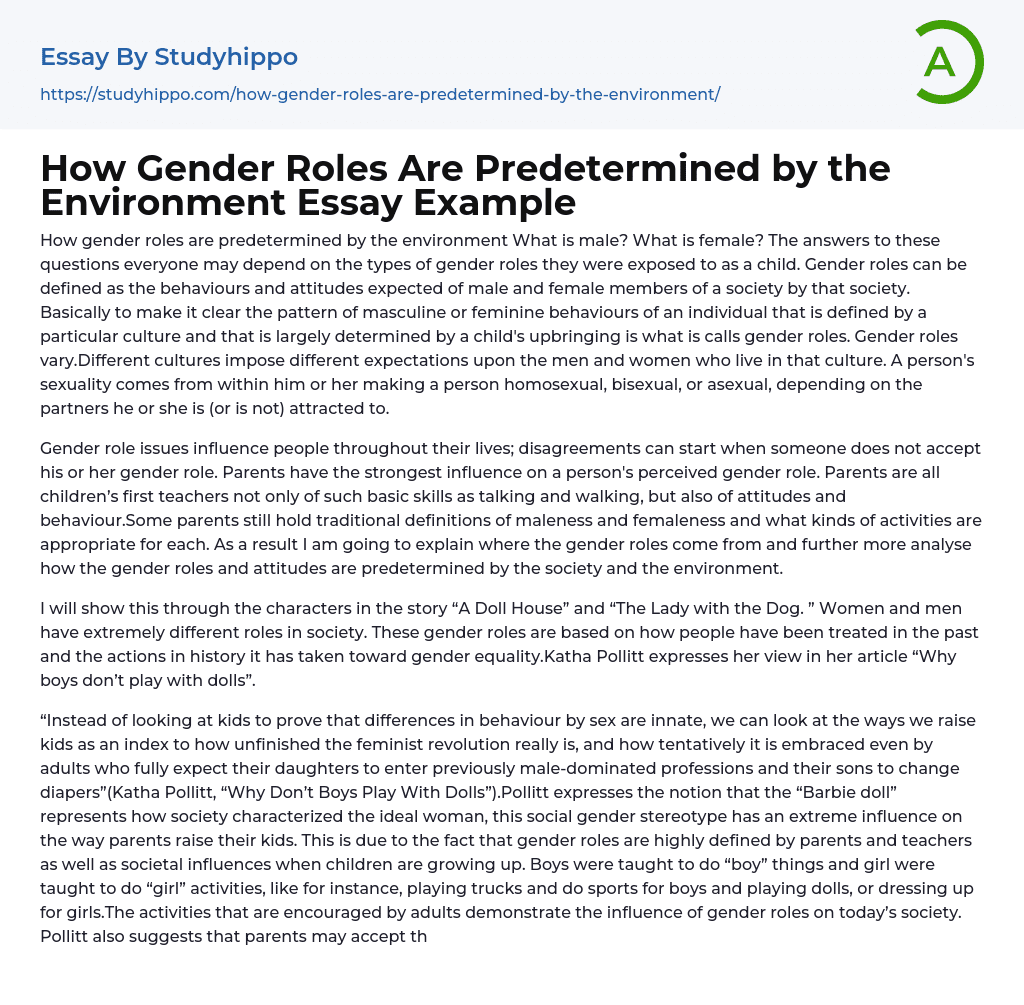How Gender Roles Are Predetermined by the Environment Essay Example