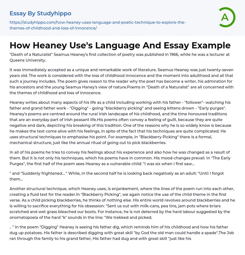 How Heaney Use’s Language And Essay Example