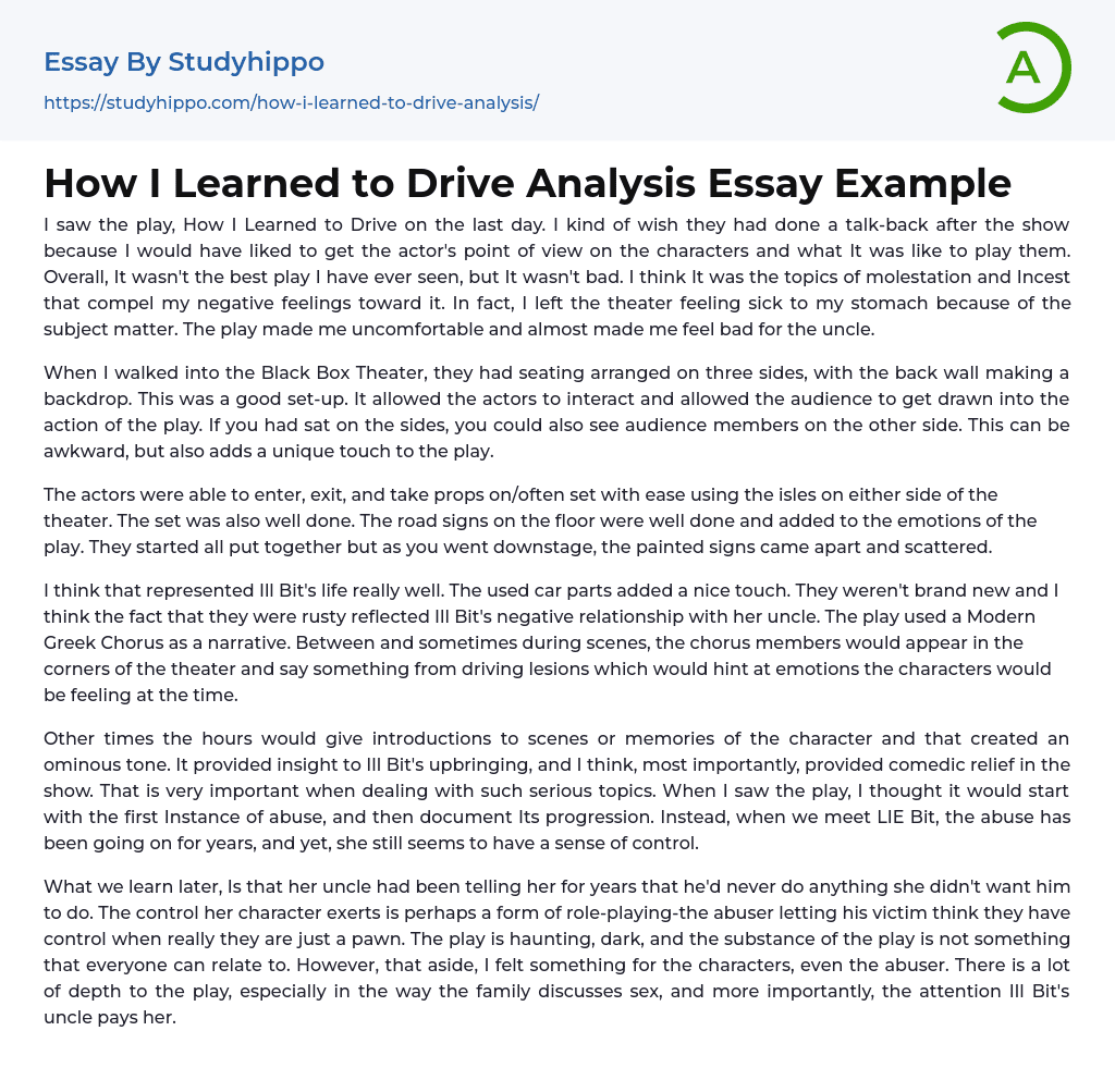 essay about learning to drive