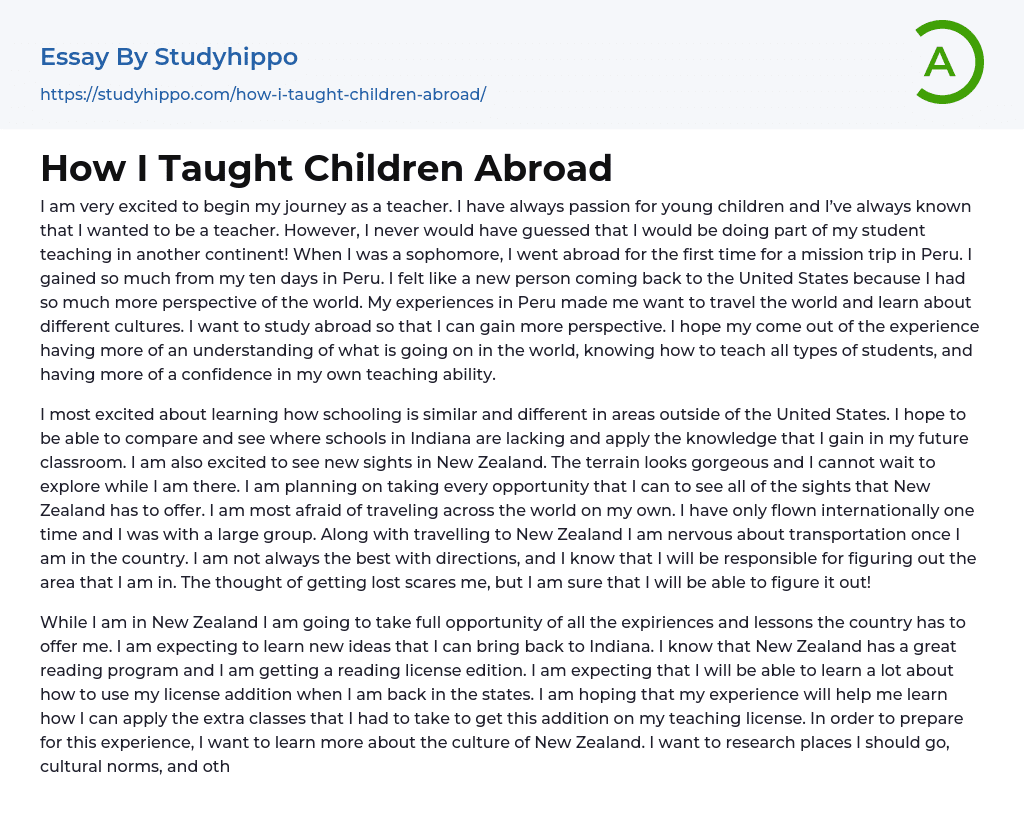 How I Taught Children Abroad Essay Example