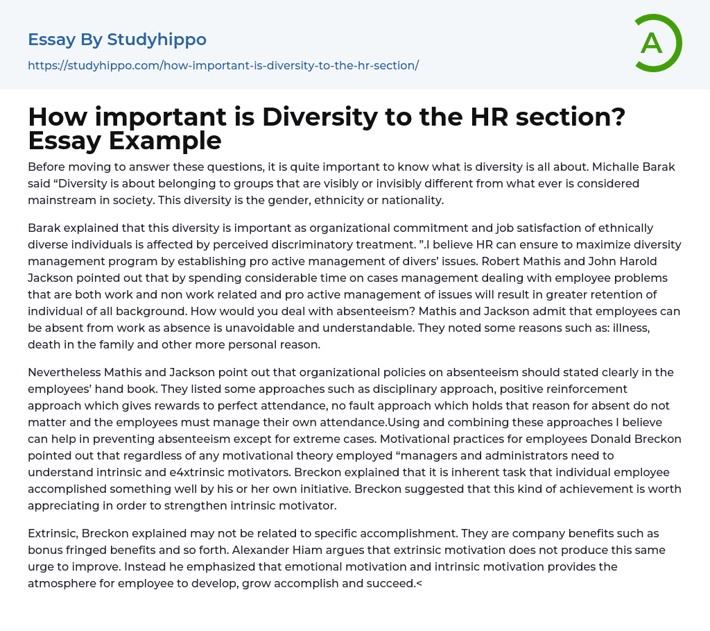 How important is Diversity to the HR section? Essay Example