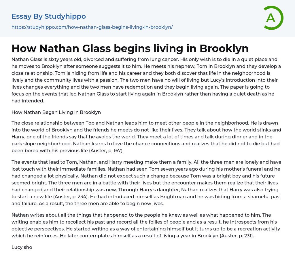 How Nathan Glass begins living in Brooklyn Essay Example