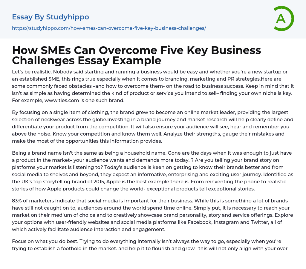 How SMEs Can Overcome Five Key Business Challenges Essay Example