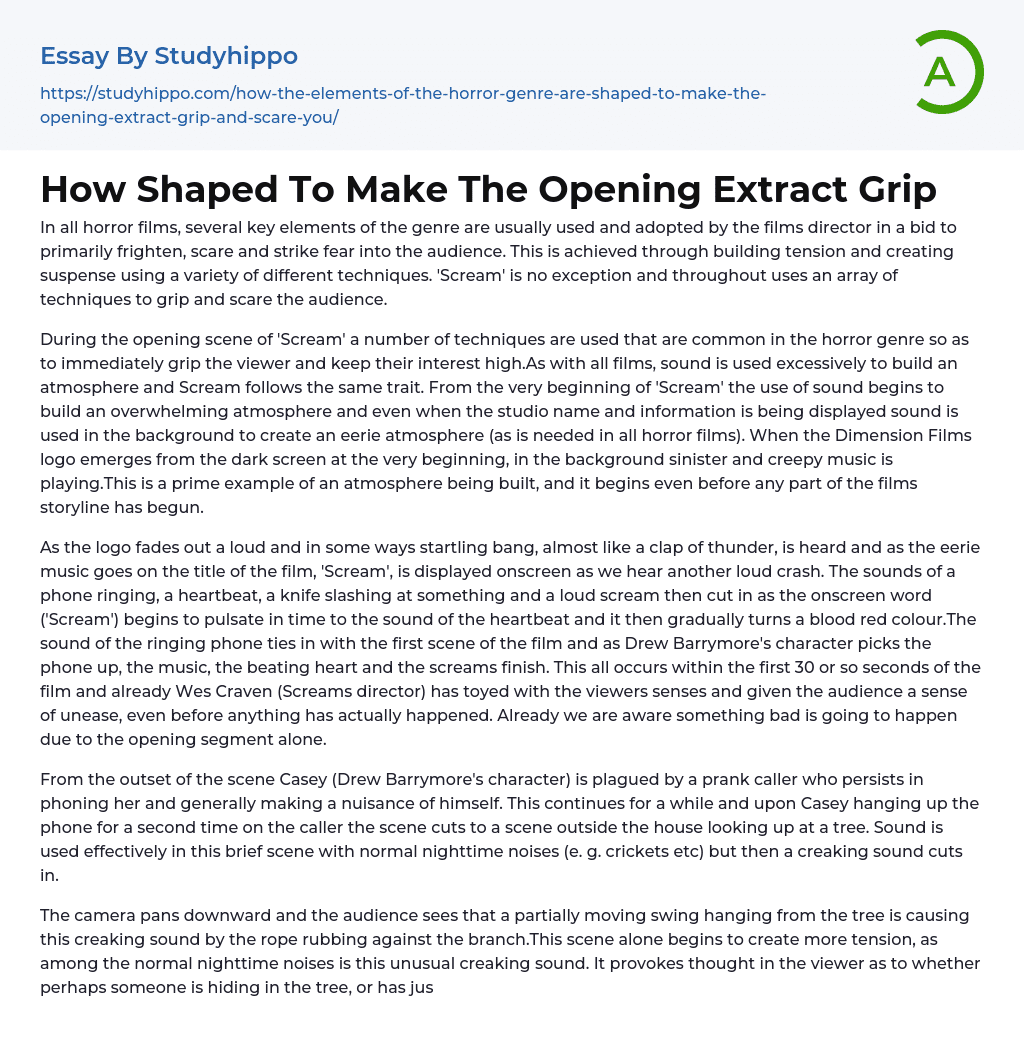 How Shaped To Make The Opening Extract Grip Essay Example