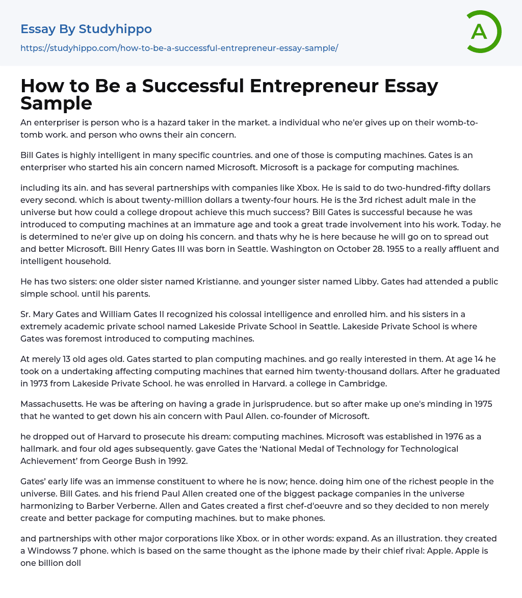 How To Be A Successful Entrepreneur Essay Sample StudyHippo