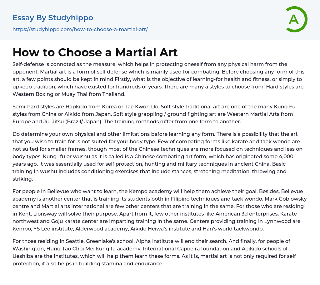 How to Choose a Martial Art Essay Example