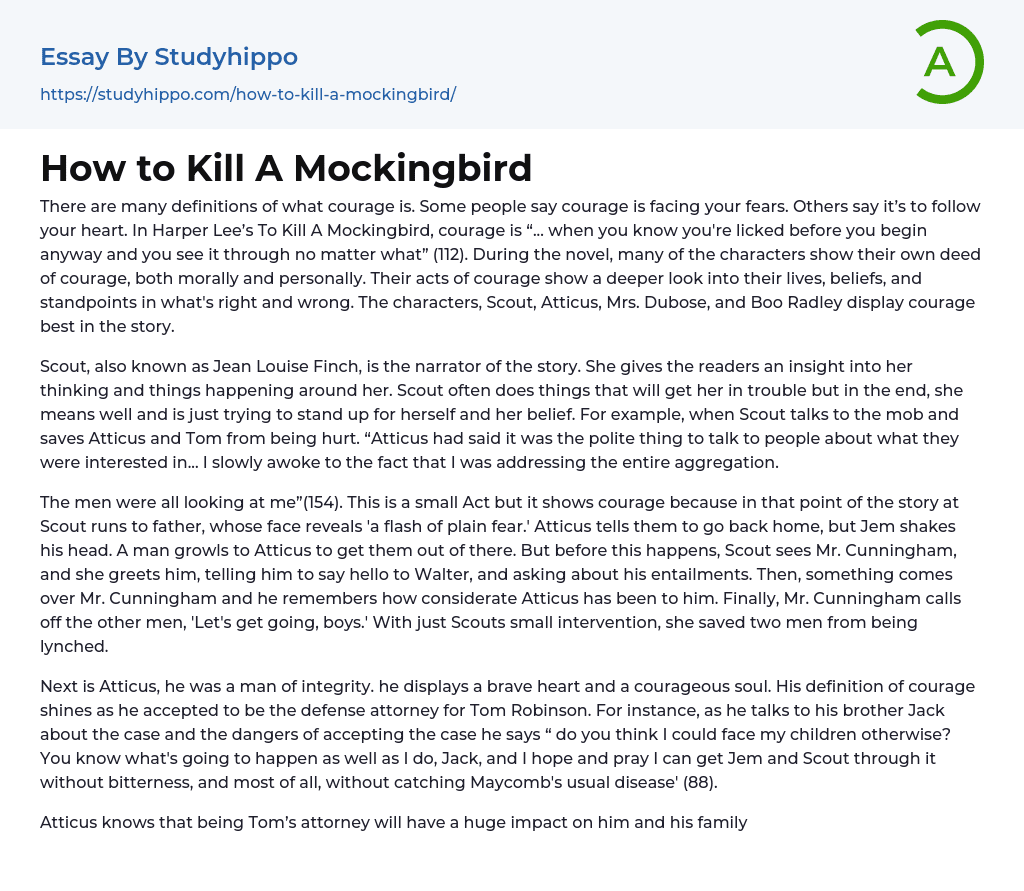 How to Kill A Mockingbird Essay Example