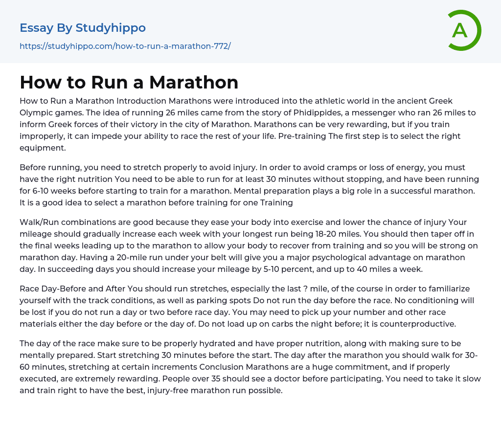 How to Run a Marathon Essay Example