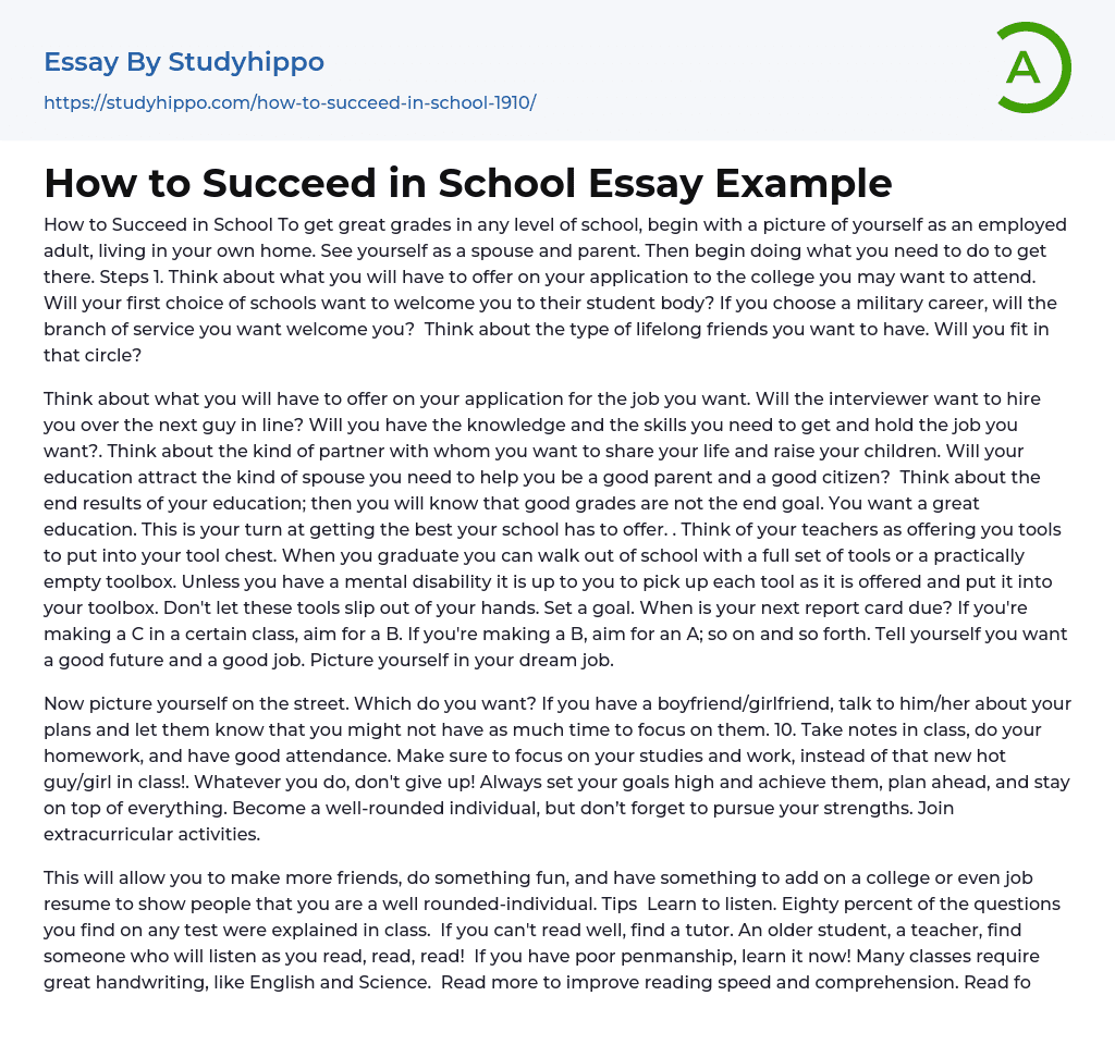 How to Succeed in School Essay Example