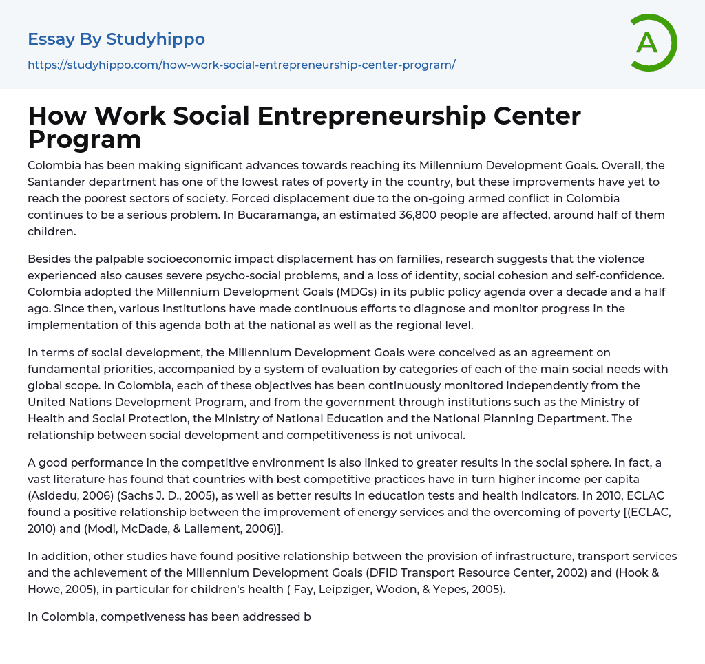 How Work Social Entrepreneurship Center Program Essay Example