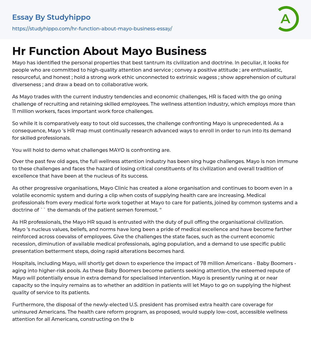 Hr Function About Mayo Business Essay Example