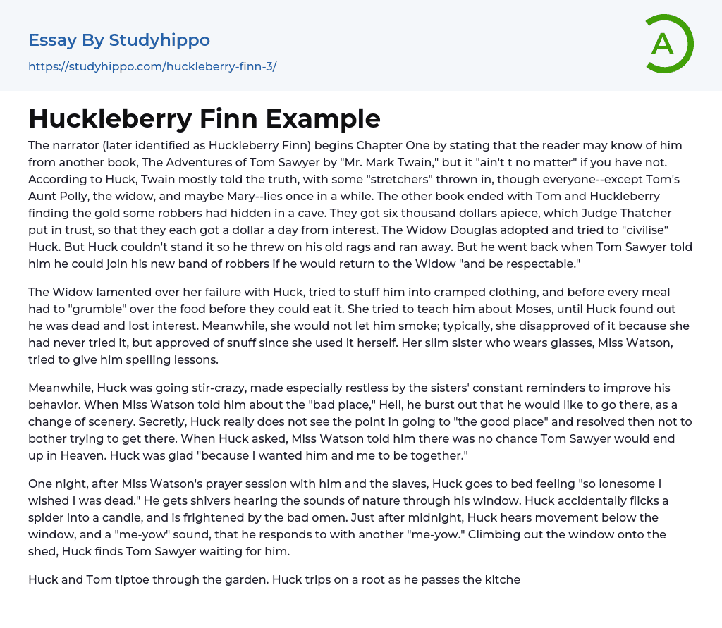 Huckleberry Finn Example Essay Example