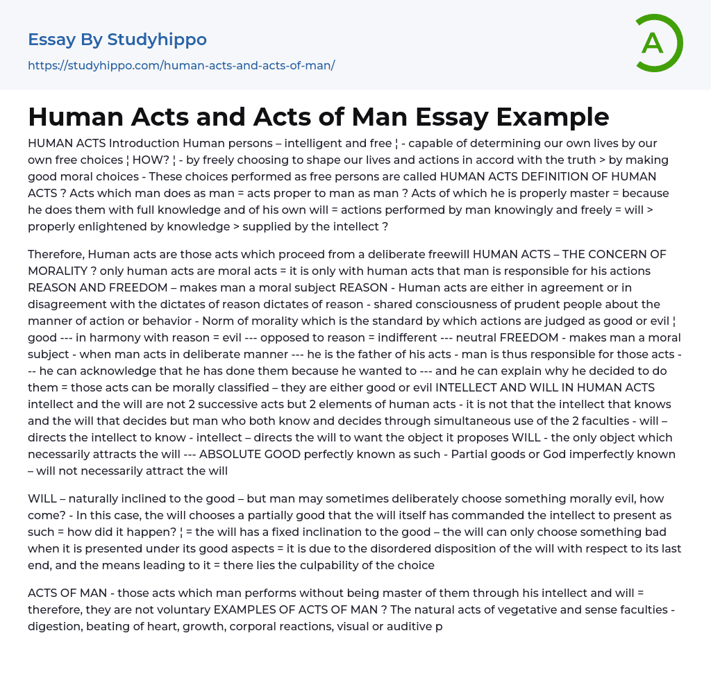 Human Acts And Acts Of Man Essay Example StudyHippo