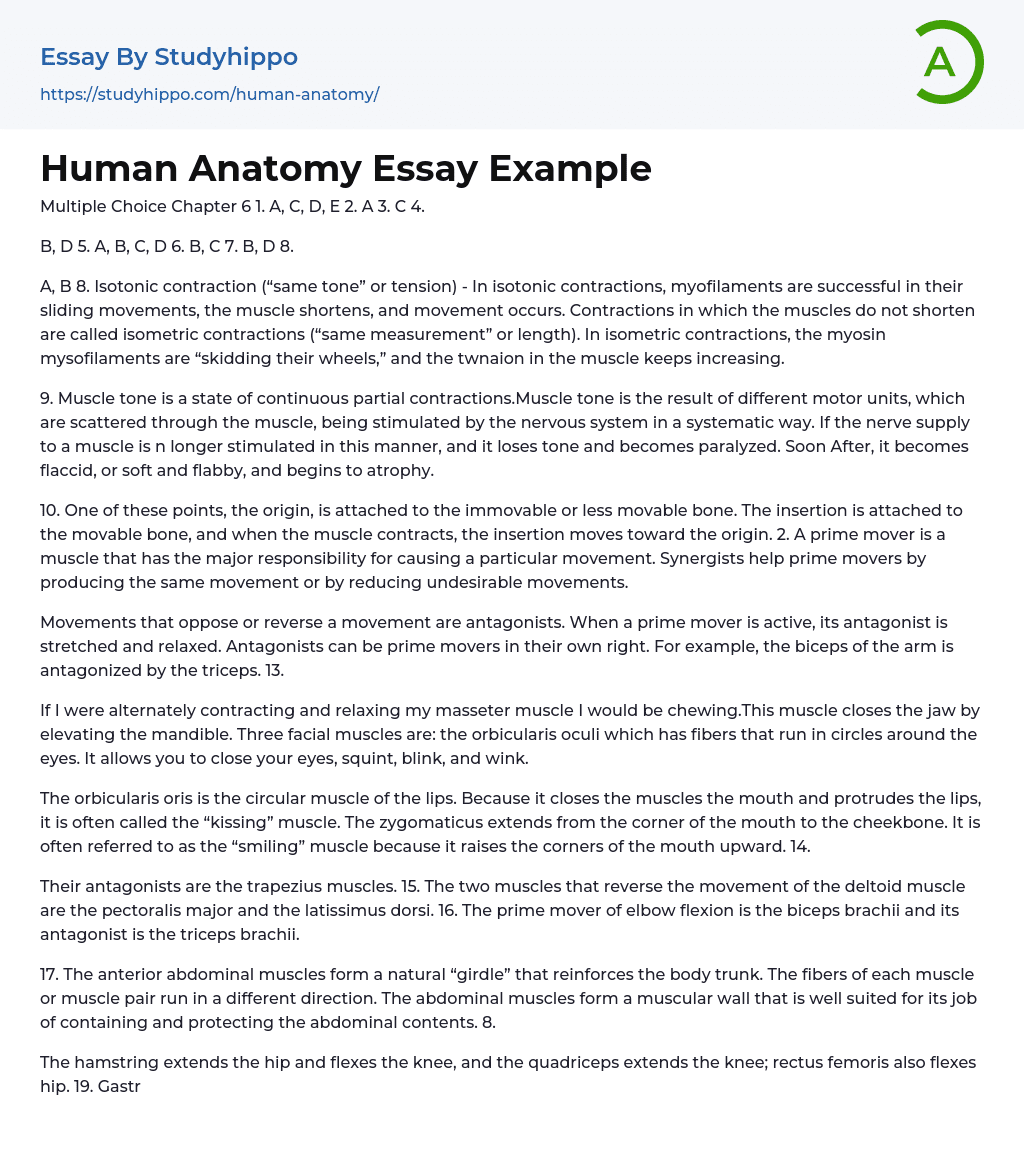 Human Anatomy Essay Example