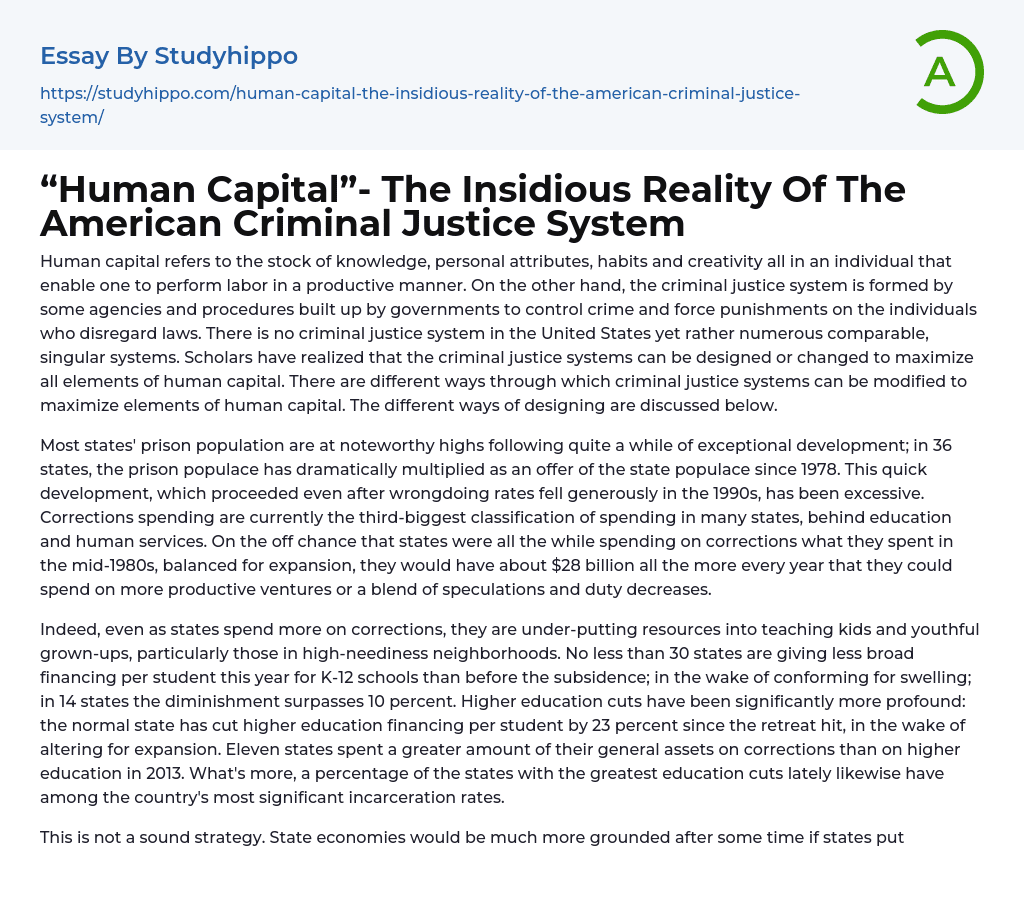 “Human Capital”- The Insidious Reality Of The American Criminal Justice System Essay Example