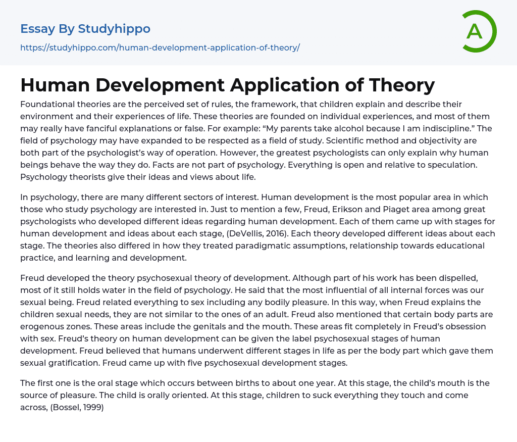 Human Development Application of Theory Essay Example