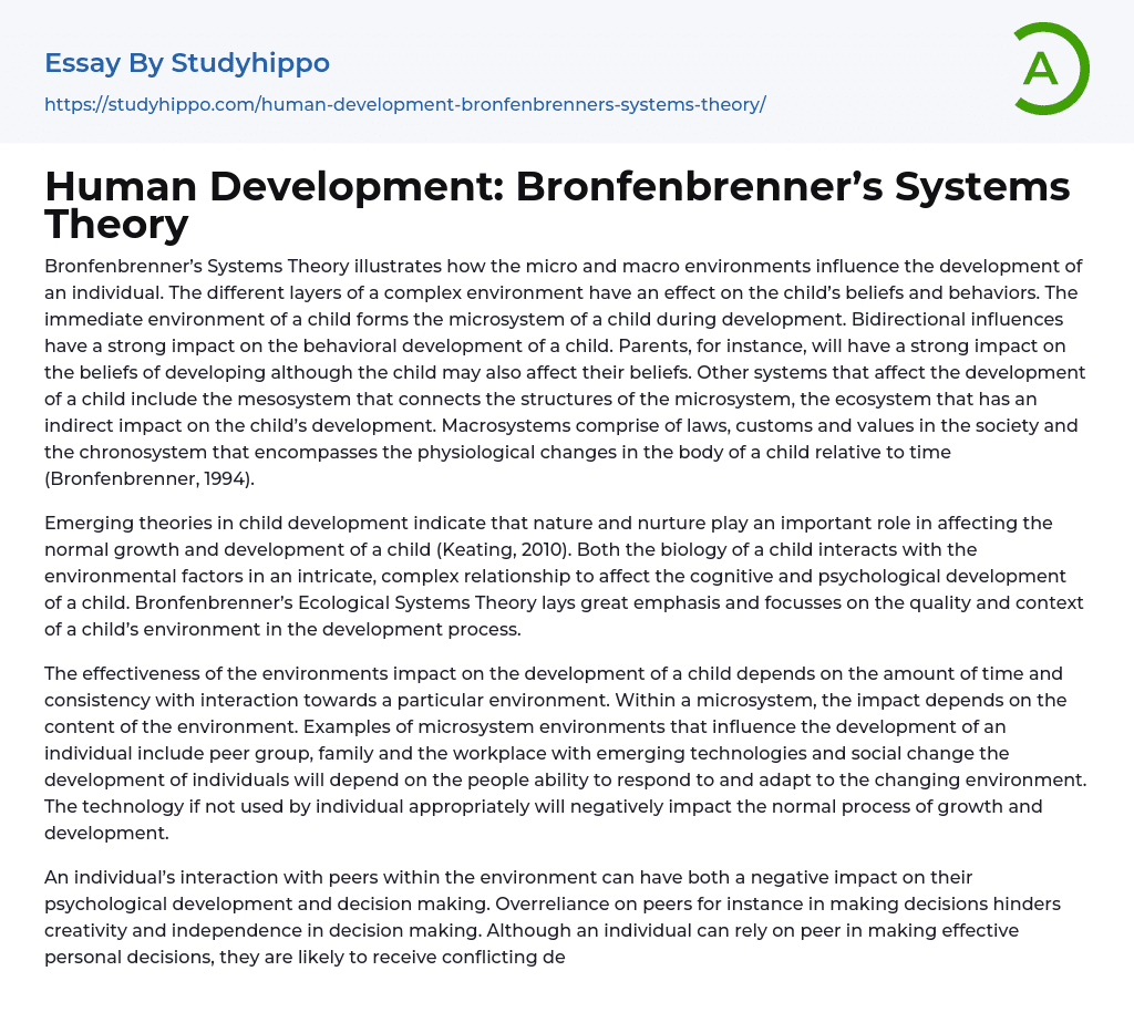 Human Development: Bronfenbrenner’s Systems Theory Essay Example