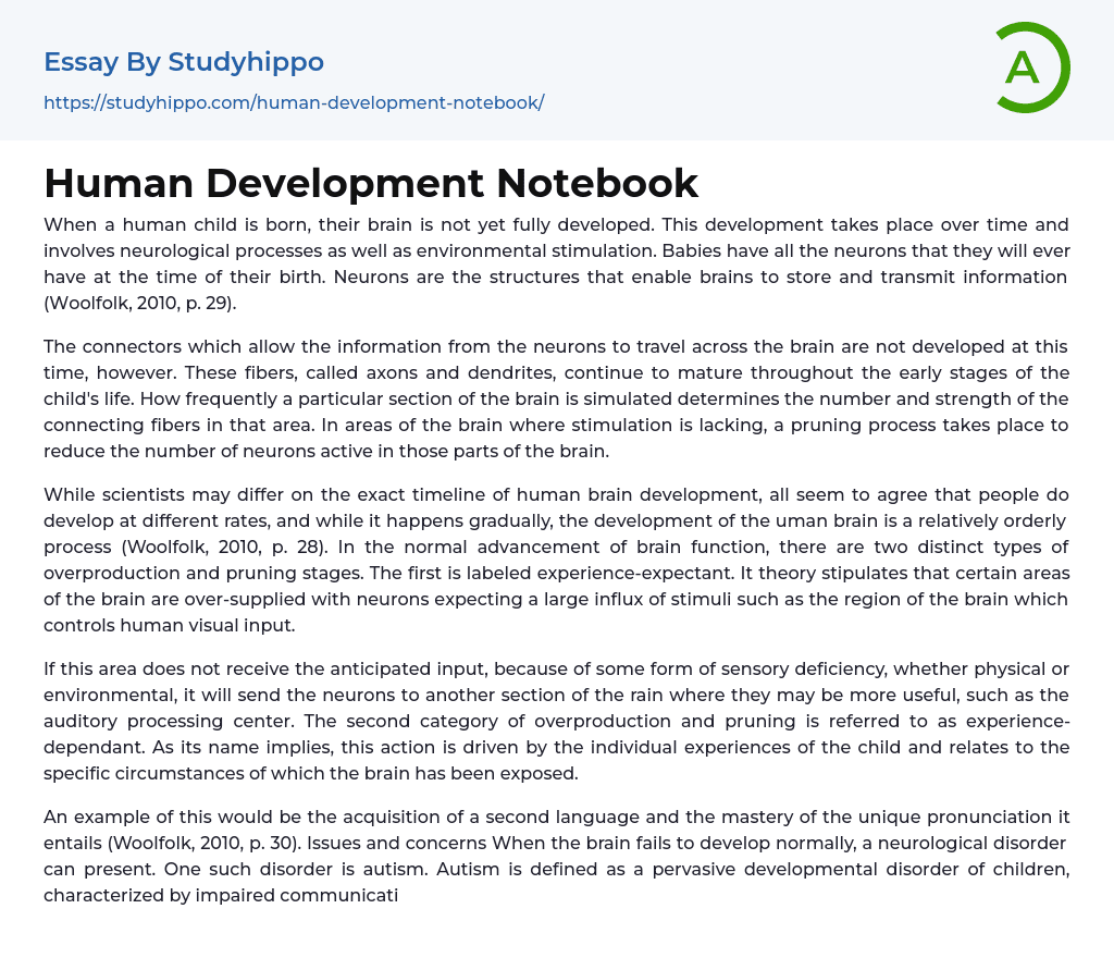 Human Development Notebook Essay Example