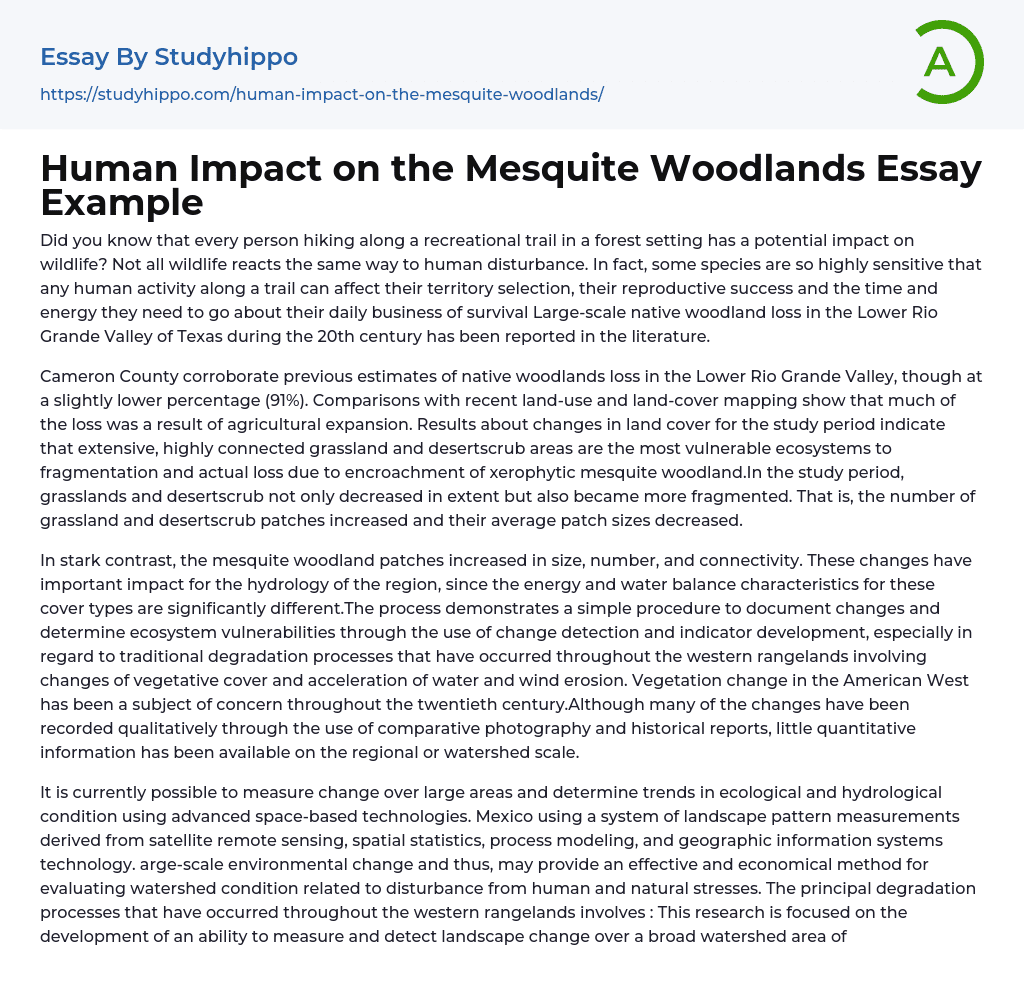 Human Impact on the Mesquite Woodlands Essay Example